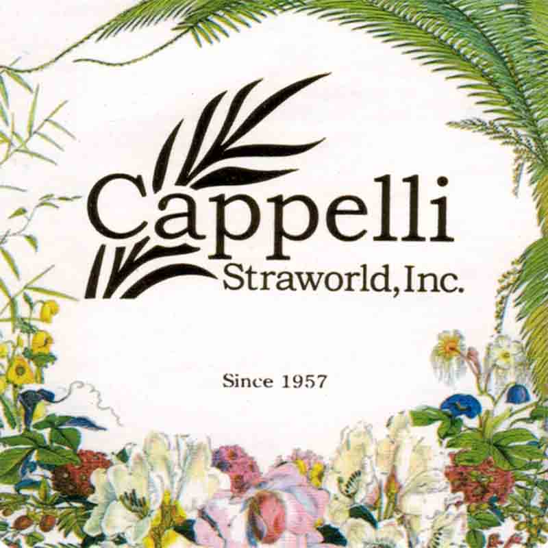 cappelli straworld hats nature inspired straw hats sea shell bands 