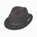 Bogart Wool Felt Fedora with Guitar Pin - Carlos Santana Hats, Fedora Hat - SetarTrading Hats 
