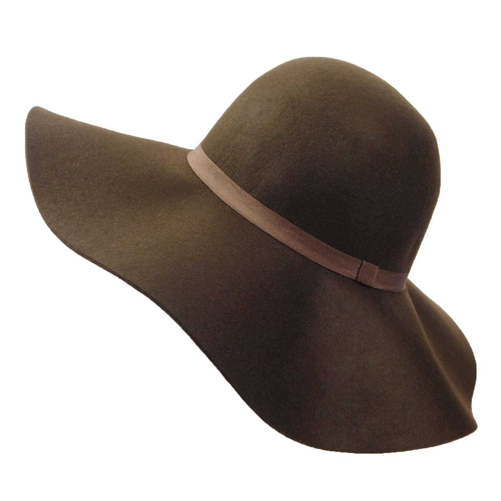 Brown Wide Brim Felt Hat for Women