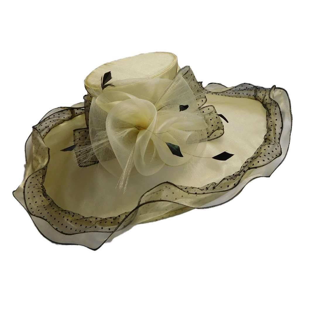 Polka Dot Ruffle Organza Hat, Dress Hat - SetarTrading Hats 