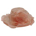 Tulle Lace Dress Hat with Organza Detail Dress Hat Something Special Hat sw2825ph Peach  
