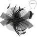 Double Lily Feather Mesh Fascinator - Something Special Fascinator Something Special LA HTH2644BK Black  