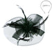 Mesh Flower and Feather Headband Fascinator Something Special LA FT1462BK Black  