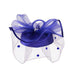 Satin Braid Pillbox Hat with Netting Veil - Something Special Dress Hat Something Special LA htb1296bl Royal Blue  