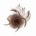 Small Rose Fascinator-Brooch Fascinator Something Special LA hth1291bn Brown  