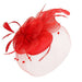 Mesh Veil Fascinator - Sophia Collection Fascinator Something Special LA HTH1301rd Red  