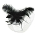Large Feather Veil Fascinator Fascinator Something Special LA Fhth2023BK Black  