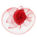 Sinamay Heart Fascinator Fascinator Something Special LA Fhth2038RD Red  