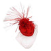 Feather Burst Oval Pill Box Fascinator Fascinator Something Special LA hth2159rd Red  