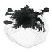 Birds of Feather Fascinator with Full Netting Veil Fascinator Something Special LA hth2160bk Black  