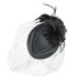Feather Flower Petals Oval Pill Box Fascinator Fascinator Something Special LA hth2161bk Black  