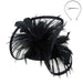 Feather Accented Rolled Tulle Fascinator Fascinator Something Special LA hth2172bk Black  