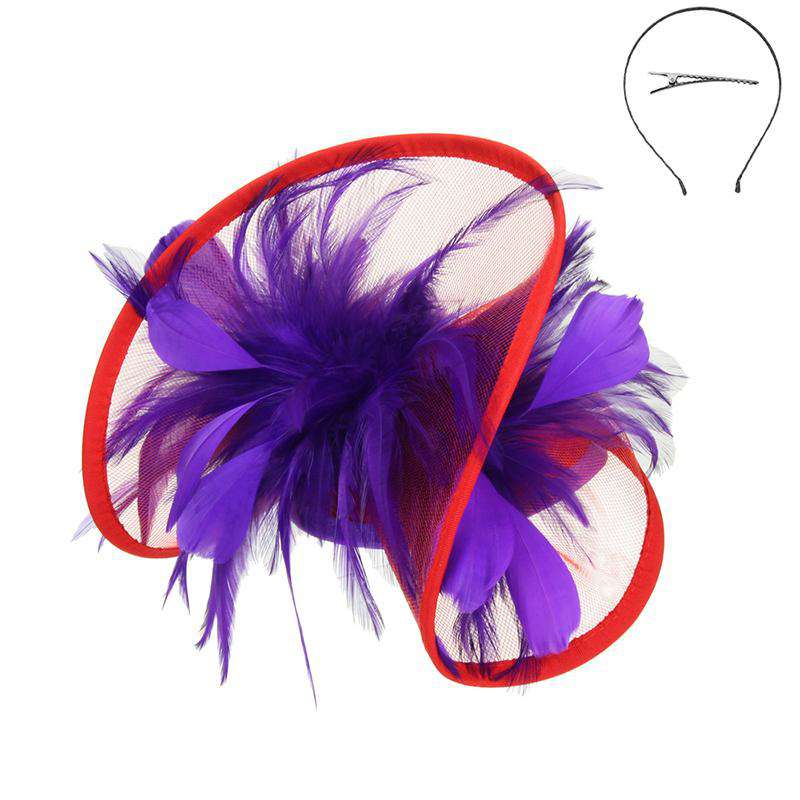 Feather Accented Rolled Tulle Fascinator Fascinator Something Special LA hth2172pr Purple / Red  