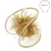 Feather Accented Rolled Tulle Fascinator Fascinator Something Special LA hth2172tn Tan  