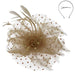 Polka Dot and Beads Fascinator - Sophia Collection Fascinator Something Special LA hth2180cp Champagne  