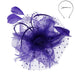 Polka Dot and Beads Fascinator - Sophia Collection Fascinator Something Special LA hth2180pp Purple  