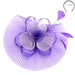 Pleated Mesh Two Tone Flower Fascinator Fascinator Something Special Hat hth2183gn Purple  
