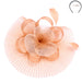 Pleated Mesh Two Tone Flower Fascinator Fascinator Something Special Hat lb7727CP Champagne  