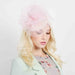 Woven Pillbox Cocktail Hat with High Tulle Accent - Sophia Collection Fascinator Something Special LA    