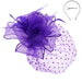 Polka Dot Veil Fascinator Headband - Something Special Fascinator Something Special LA HTH2219pp Purple  