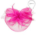 Fascinator with Loopy Mesh Center - Sophia Collection Fascinator Something Special LA HTH2262FC Fuchsia  