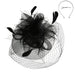 Double Veil Feather Rose Fascinators - Sophia Collection Fascinator Something Special LA HTH2266BK Black  