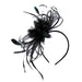 Satin Floral Fascinator Headband - Sophia Collection Fascinator Something Special LA hth2309bk Black  