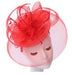 Large Loopy Mesh and Feather Fascinator Fascinator Something Special Hat Flb7607RD Red  