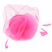 Horsehair Disks Fascinator with Feathers - Something Special Collection Fascinator Something Special Hat lb7729FC Pink  