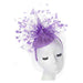 Feather Burst Fascinator with Netting Veil - Scala Collezione, Fascinator - SetarTrading Hats 