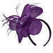 Sinamay Flower Fascinator with Feathers - Scala Collezione, Fascinator - SetarTrading Hats 