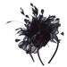 Sinamay Bow with Feather Burst Fascinator - Scala Collezione Fascinator Scala Hats LDF49BK Black  