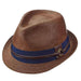 Sound Fedora Hat with Woven Band - Carlos Santana Hats Fedora Hat Santana Hats san346bnl Brown Large 