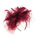 Large Horsehair and Feather Fascinator Fascinator Something Special Hat Fby5230BD Burgundy  