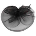 Ruffle Mesh with Feather Fascinator - 9 Beautiful Colors Fascinator Something Special LA HTH1299BK Black  