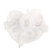 Round Mesh with Feather Fascinator Fascinator Something Special LA HTH1300WH White  