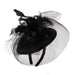 Satin Fascinator with Feather and Netting Fascinator Something Special LA HTH1315BK Black  