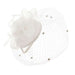 Sinamay Fascinator with Dotted Netting Veil Fascinator Something Special LA hth2093WH White  
