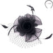 Tulle and Netting Flower Fascinator - Sophia Collection Fascinator Something Special LA hth2187bk Black  