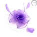 Tulle and Netting Flower Fascinator - Sophia Collection Fascinator Something Special LA hth2187pp Lavender  