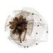 Lace Flower Fascinator with Veil Fascinator Something Special Hat LB7320bn Brown  