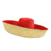 Madagascar Raffia Extra Wide Brim Two Tone Beach Hat Kettle Brim Hat Madagascar Raffia Hats SHE12R Red / Tan  